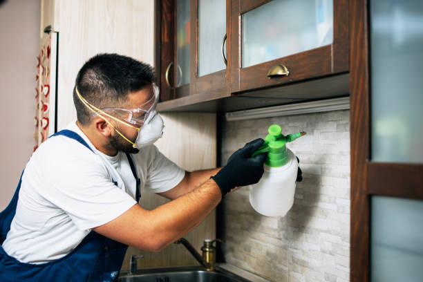 Best Exterminator Services  in Salmon Brook, CT