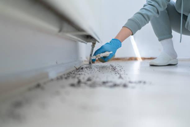 Best Affordable Pest Control Services  in Salmon Brook, CT